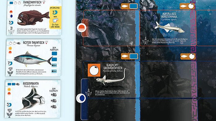 Flossenschlag | Vorbestellung - Spielefürst