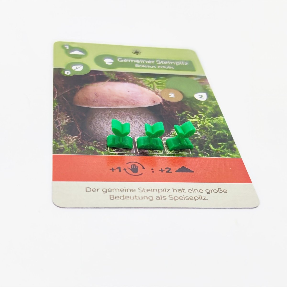 Spielefürst Upgrade Set Naturwunder | für Erde - Spielefürst