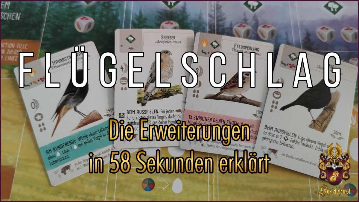 Flügelschlag Europa & Ozeanien in 58 Sekunden | Die Neuerungen kurz erklärt - Spielefürst