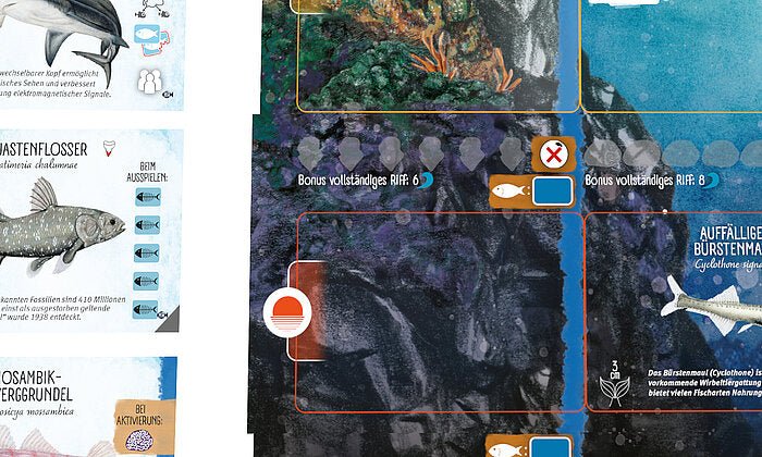 Flossenschlag – Haie & Riffe | Vorbestellung - Spielefürst