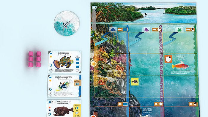 Flossenschlag | Vorbestellung - Spielefürst